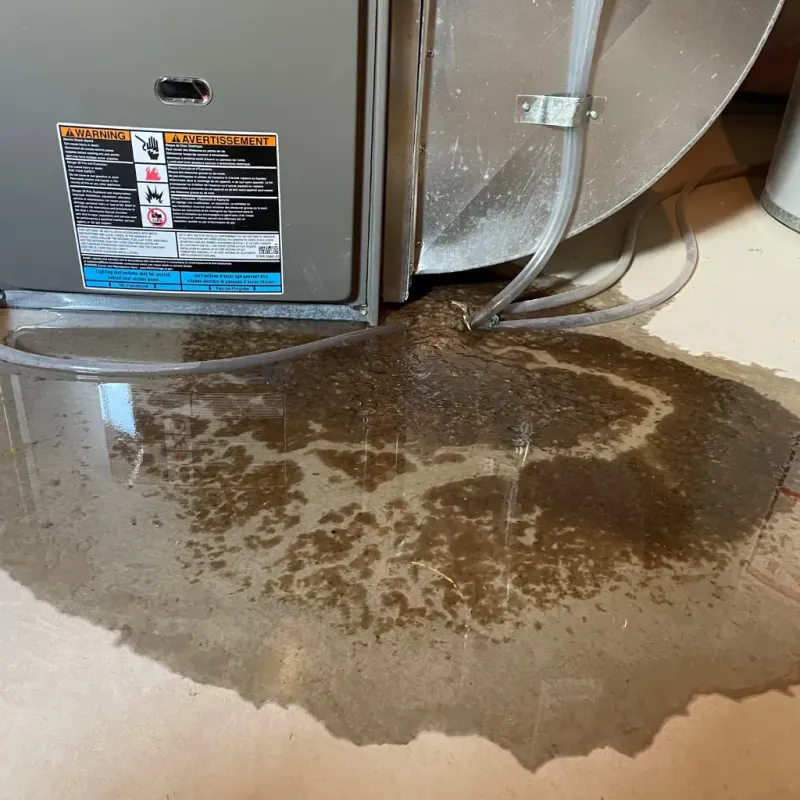 Appliance Leak Cleanup in Macon County, NC